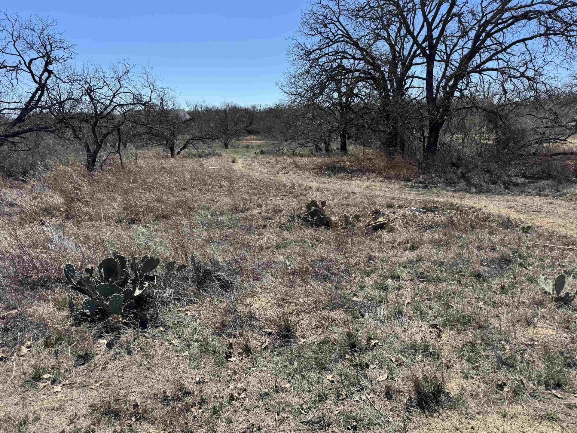 0.28 acres in Llano County - photo 2