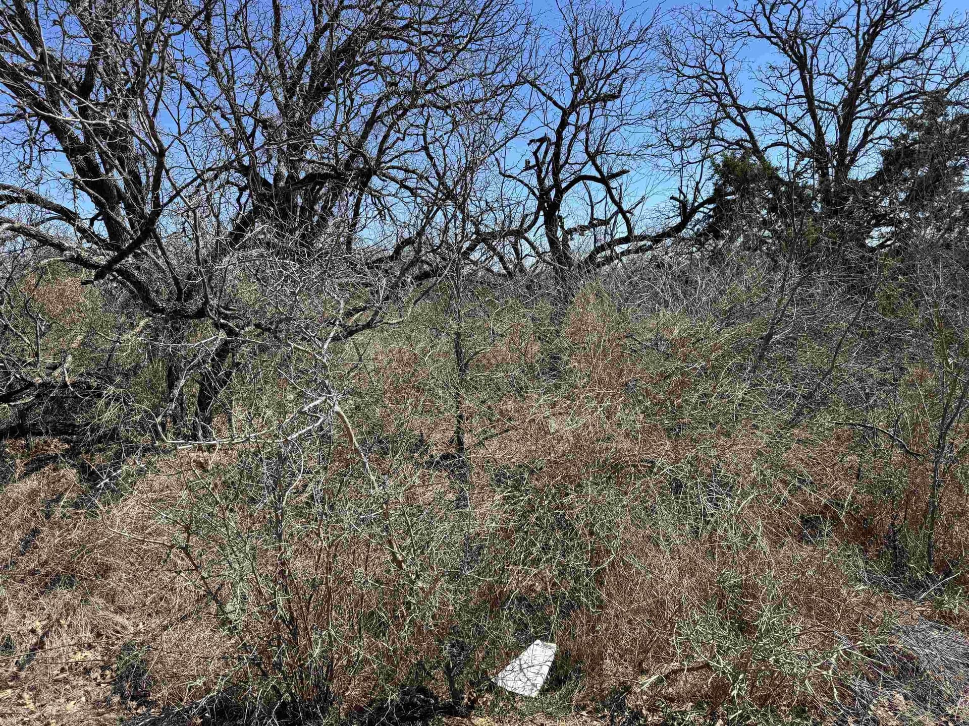 0.28 acres in Llano County - photo 7