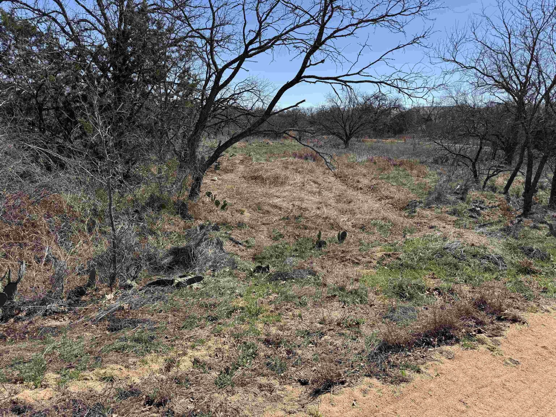 0.28 acres in Llano County - photo 9