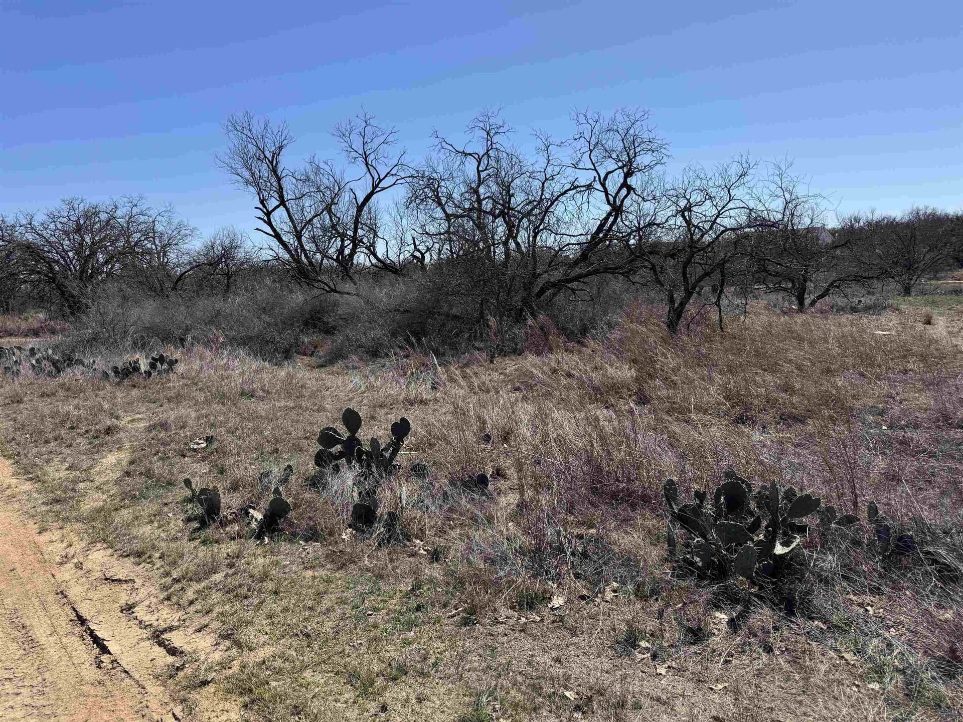 0.28 acres in Llano County - photo 3