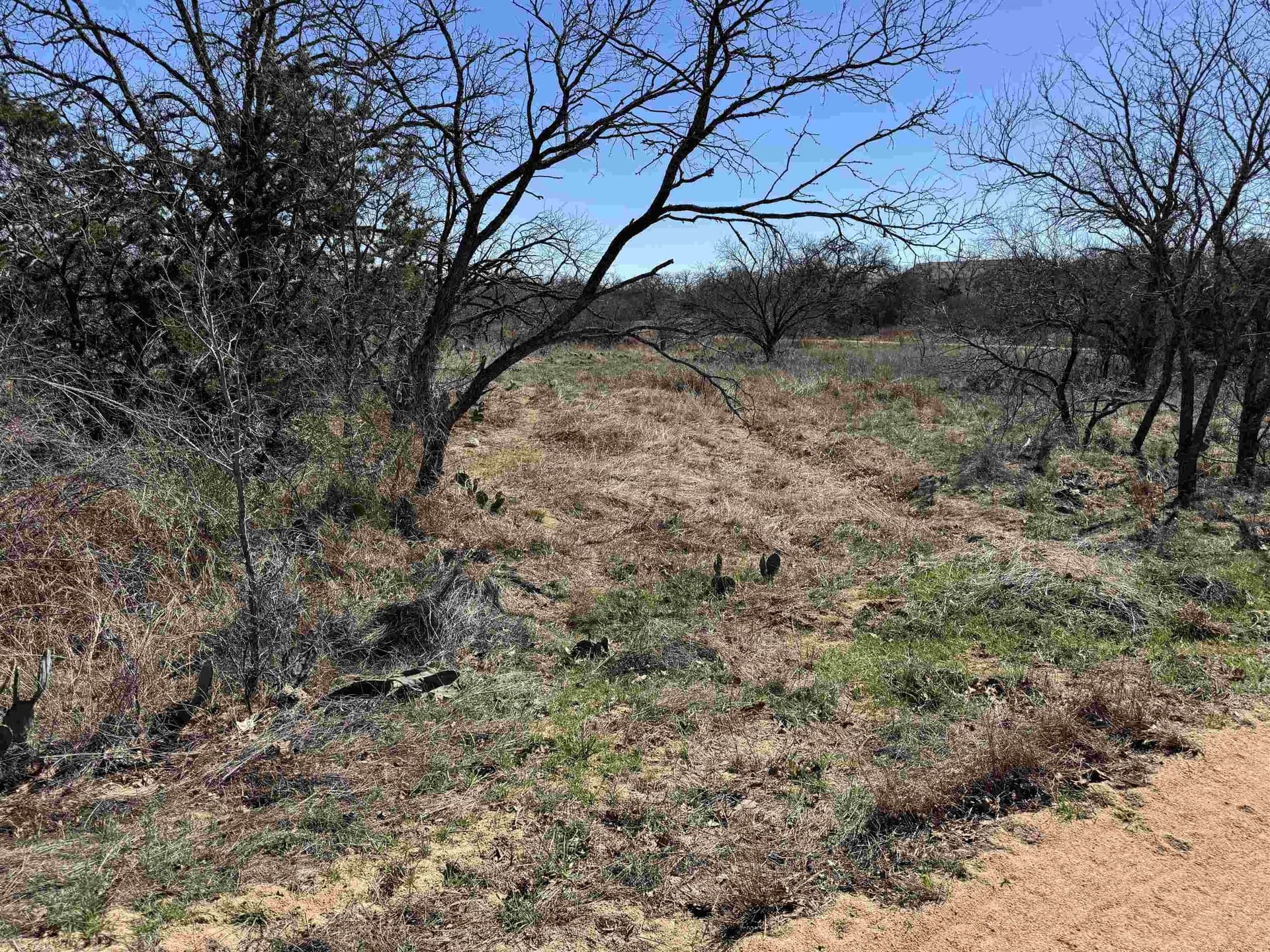 0.28 acres in Llano County - photo 8