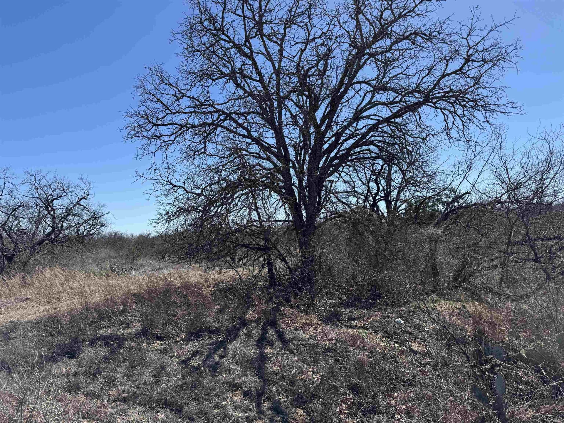 0.28 acres in Llano County - photo 6