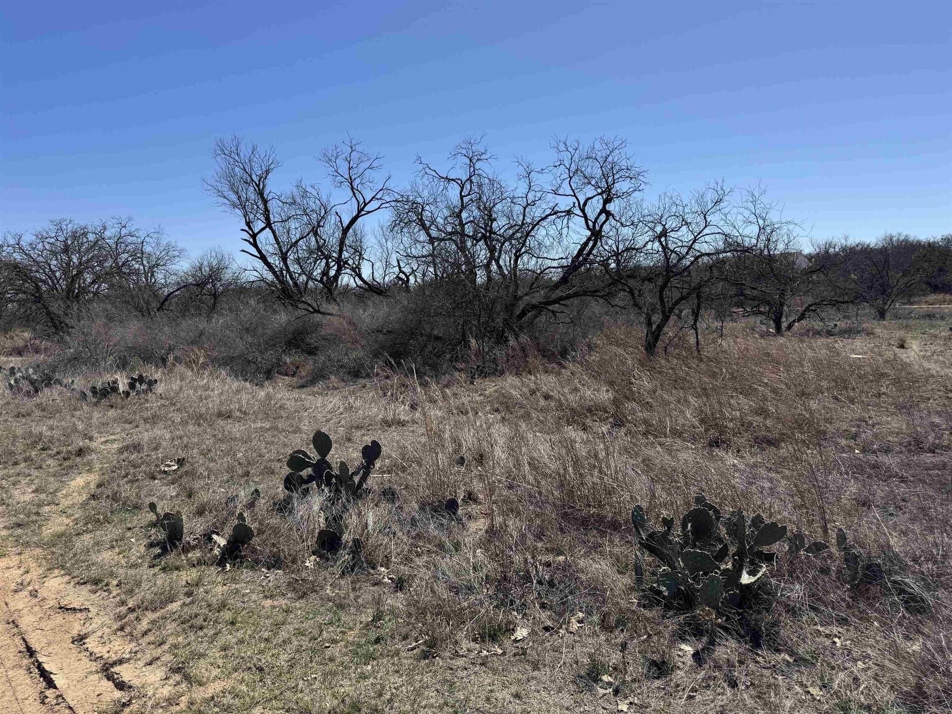 0.28 acres in Llano County - photo 4