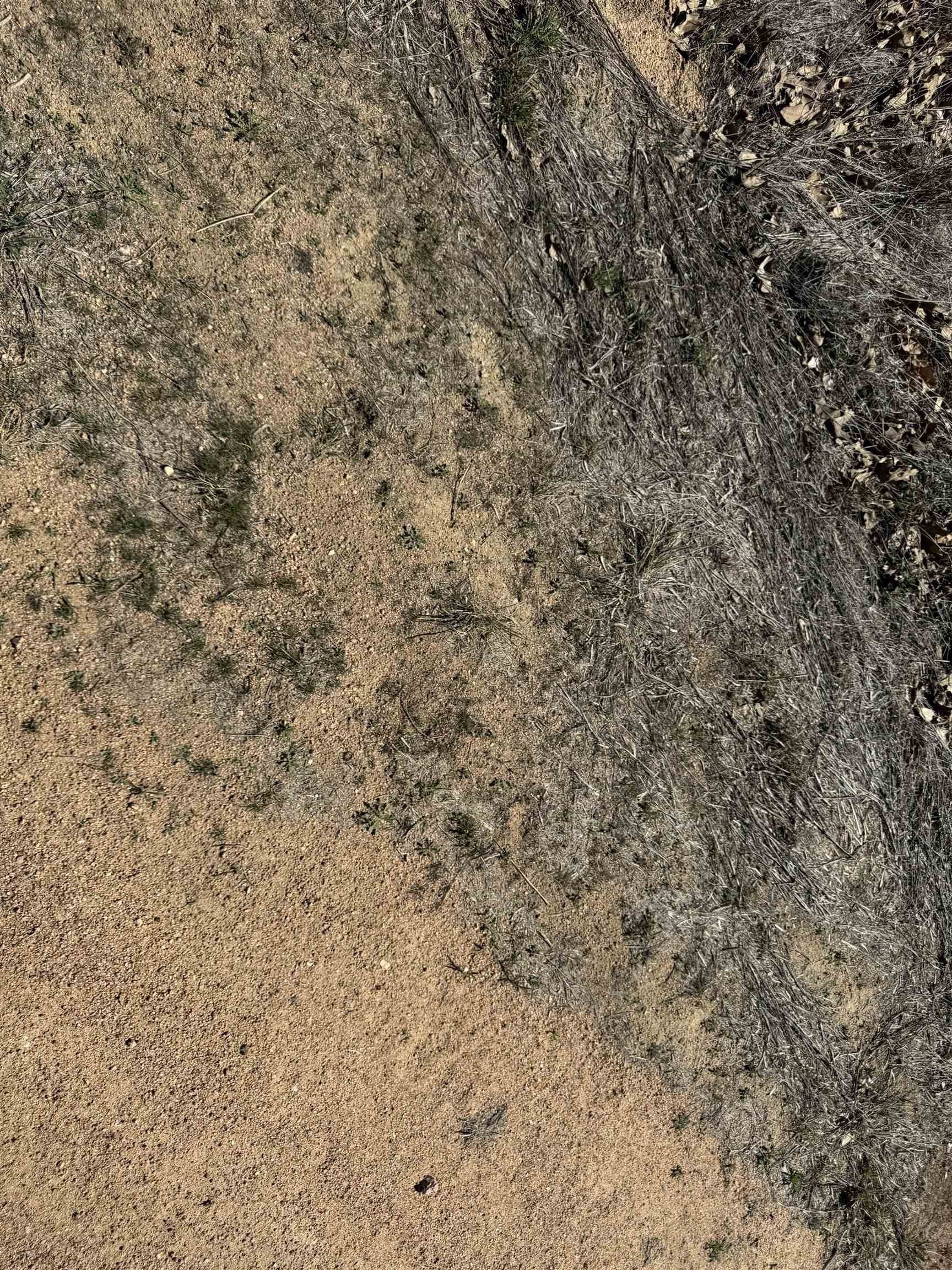 0.28 acres in Llano County - photo 5