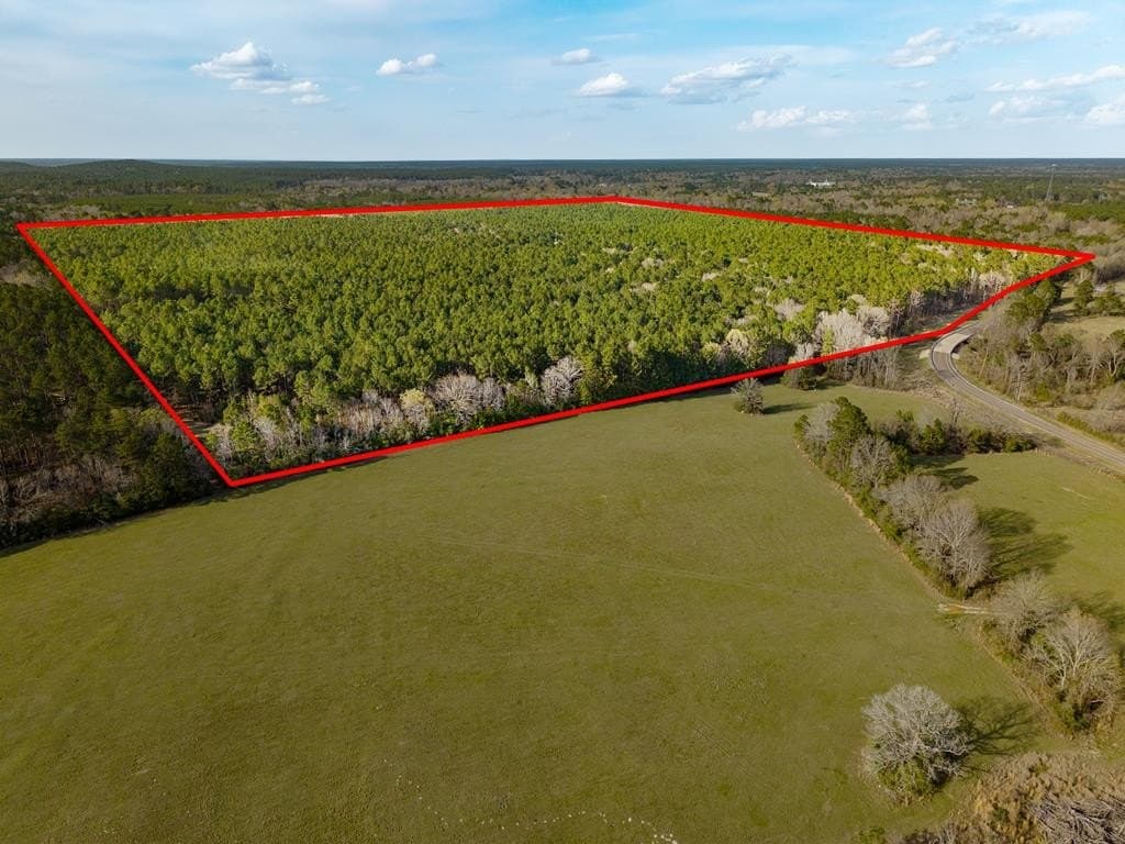 156 acres in Texas County featured view