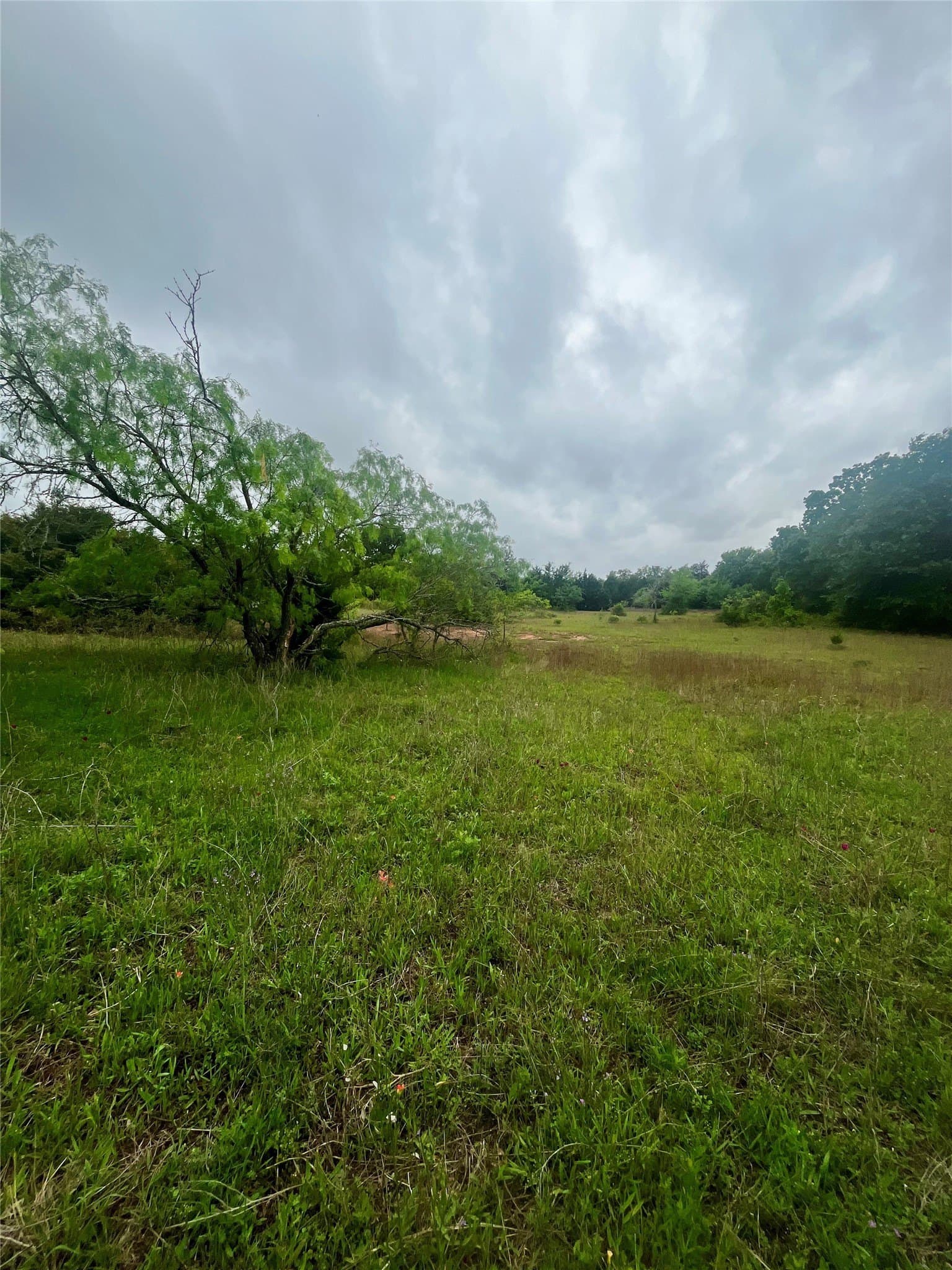 15 acres in Limestone County - photo 16