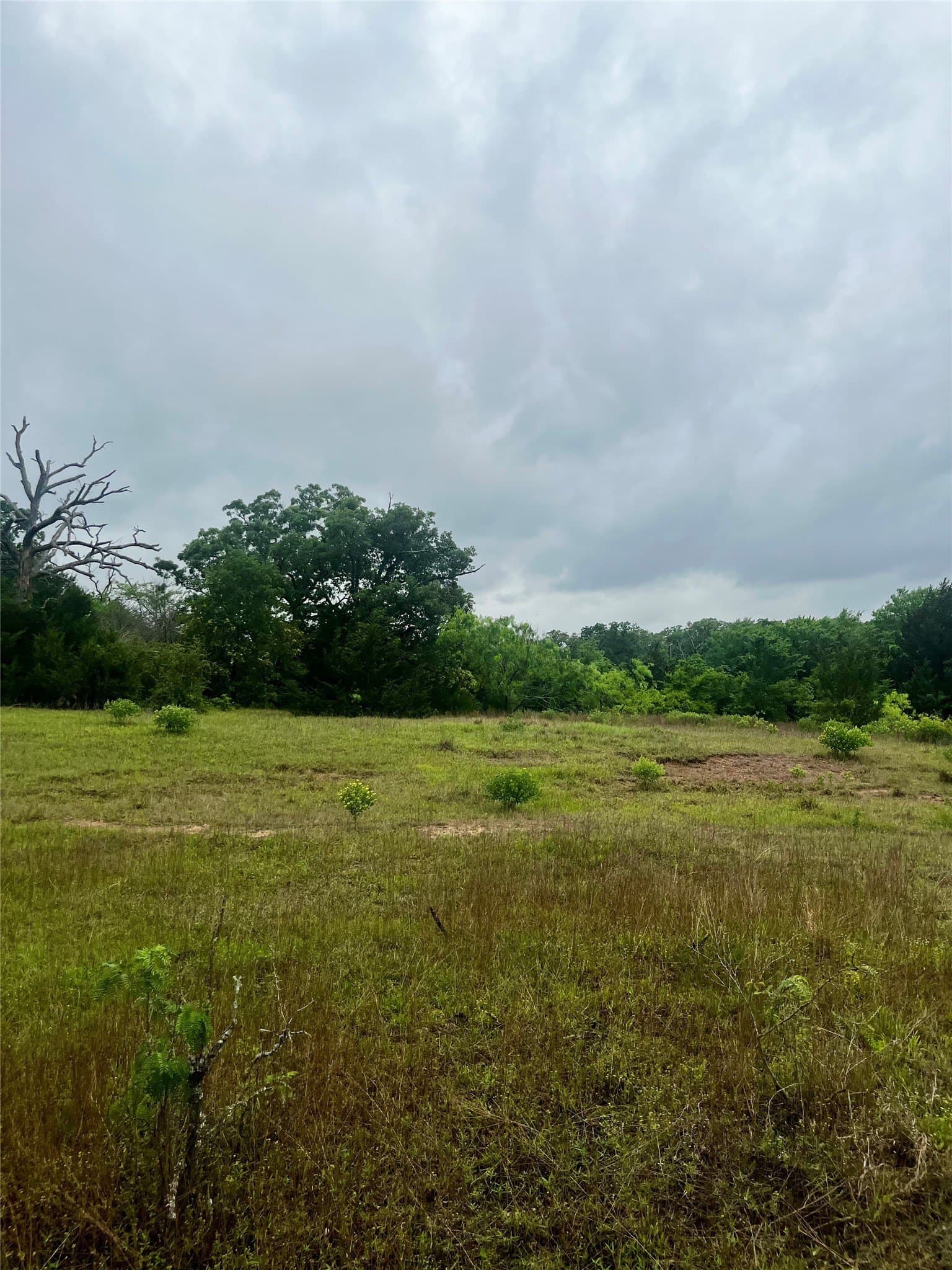 15 acres in Limestone County - photo 2