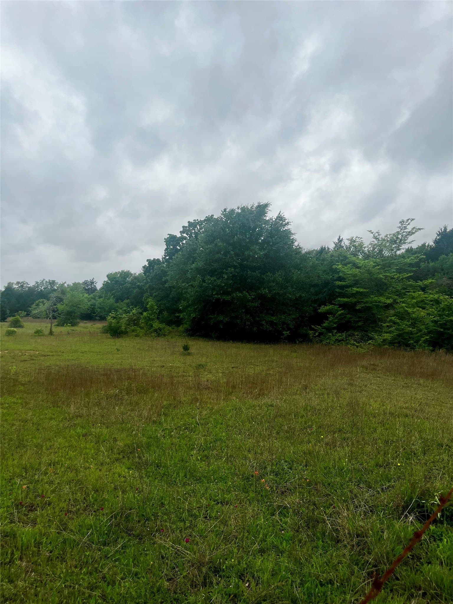 15 acres in Limestone County - photo 15