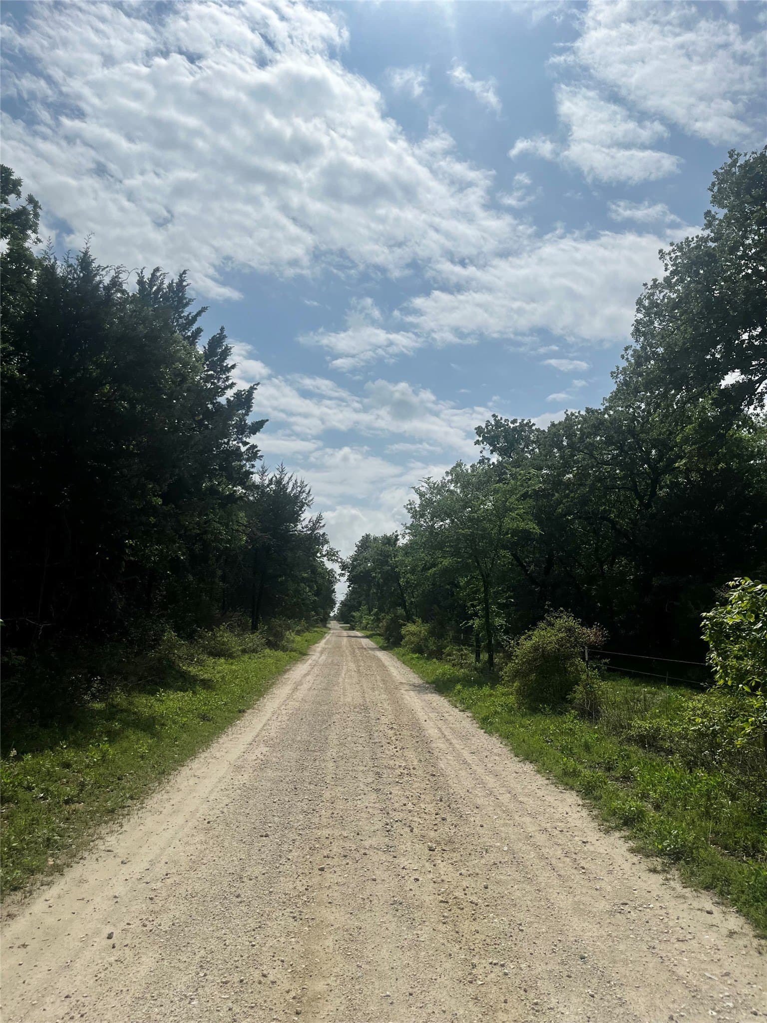15 acres in Limestone County - photo 12