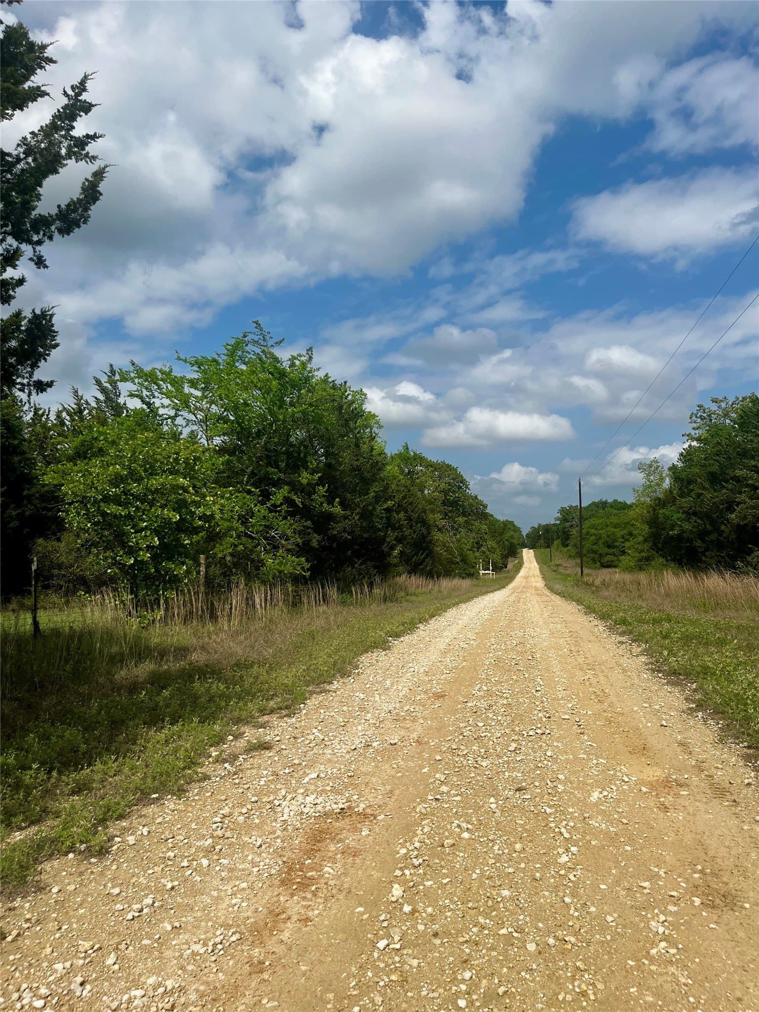 15 acres in Limestone County - photo 13