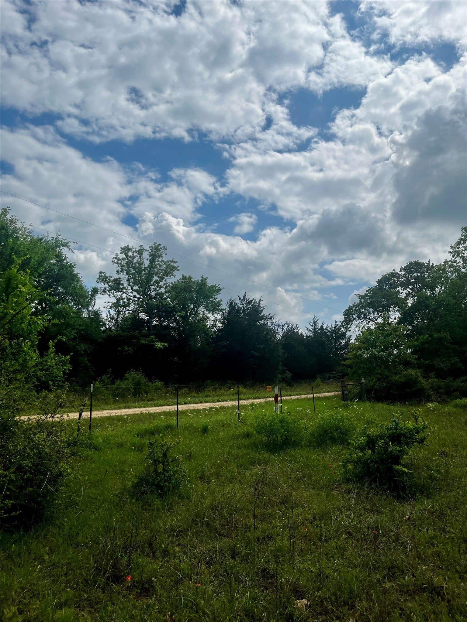 15 acres in Limestone County - photo 4