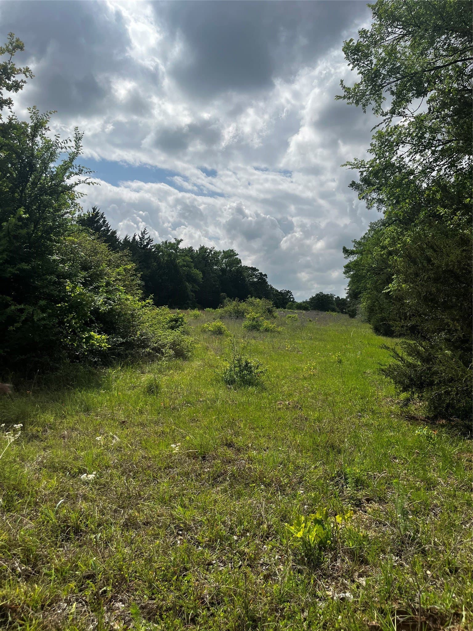 15 acres in Limestone County - photo 11