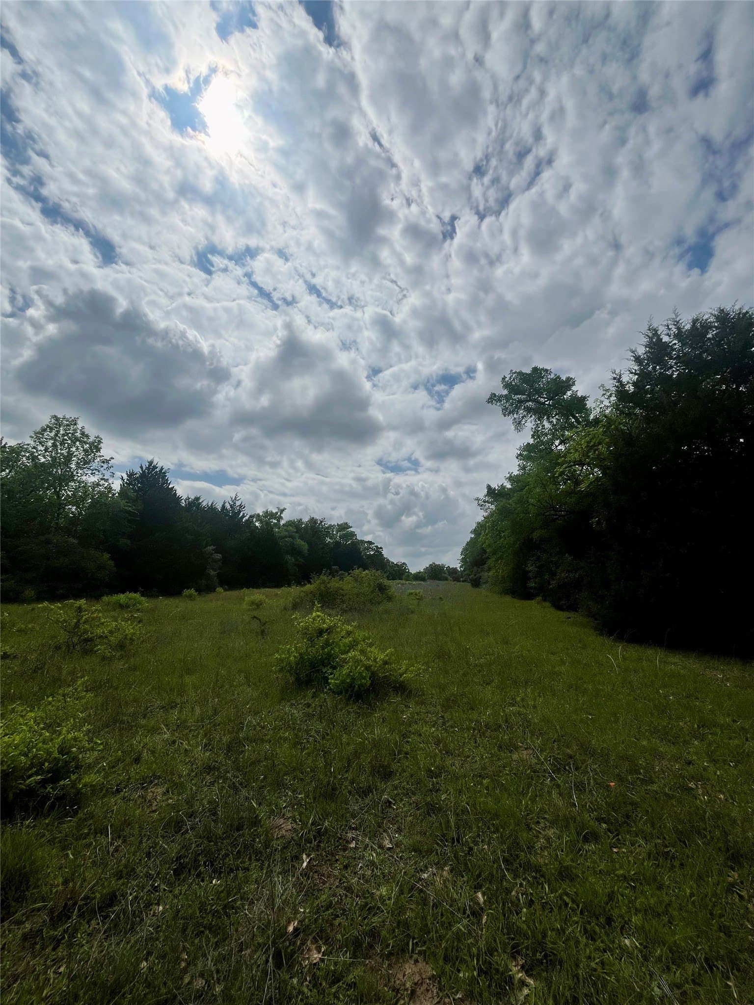 15 acres in Limestone County - photo 8