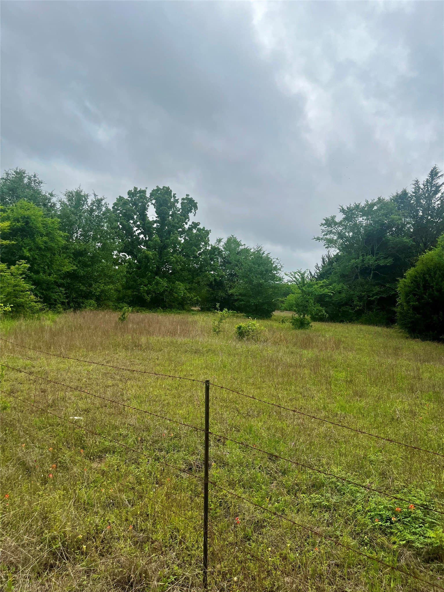 15 acres in Limestone County - photo 17