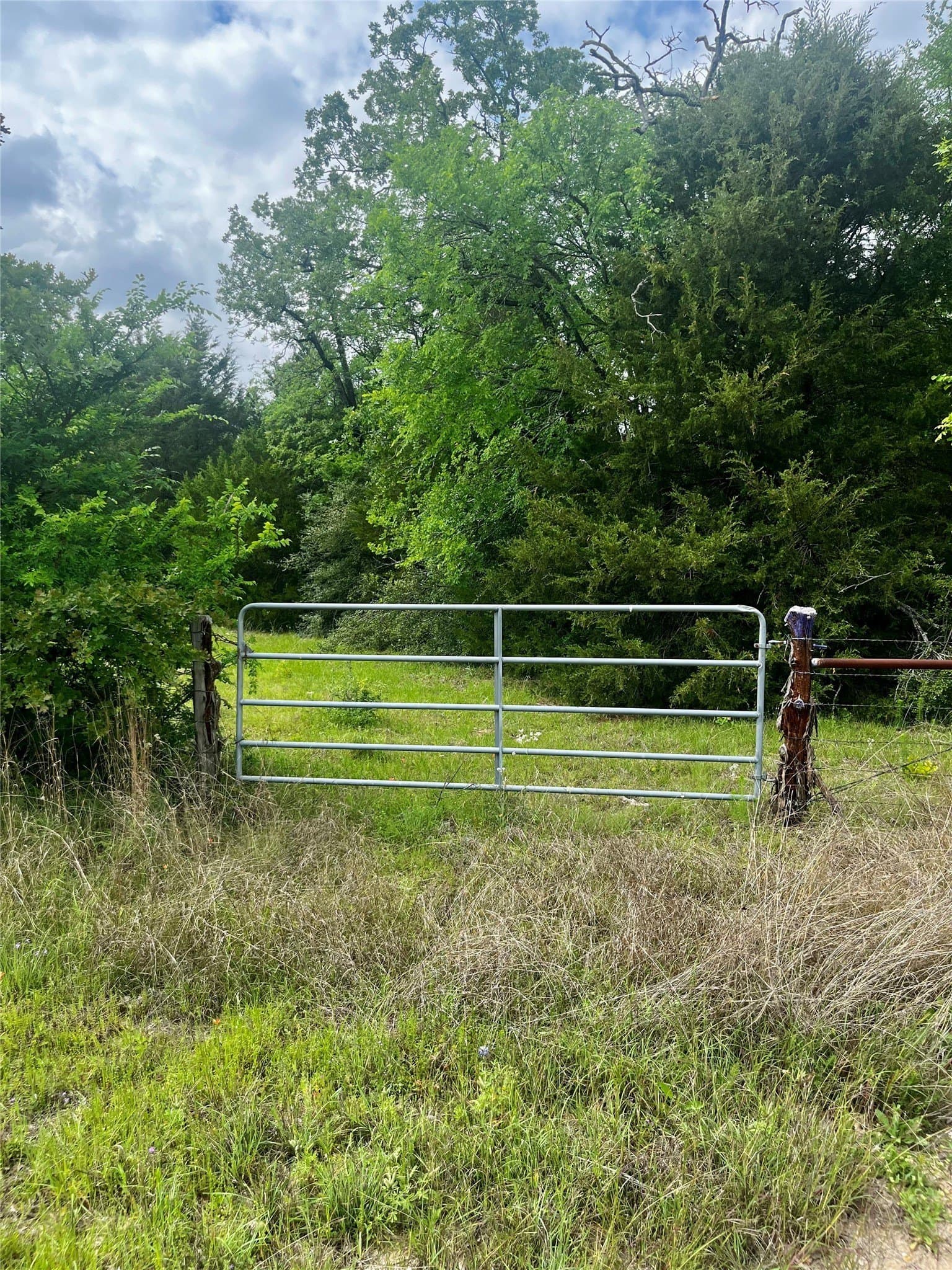 15 acres in Limestone County - photo 6