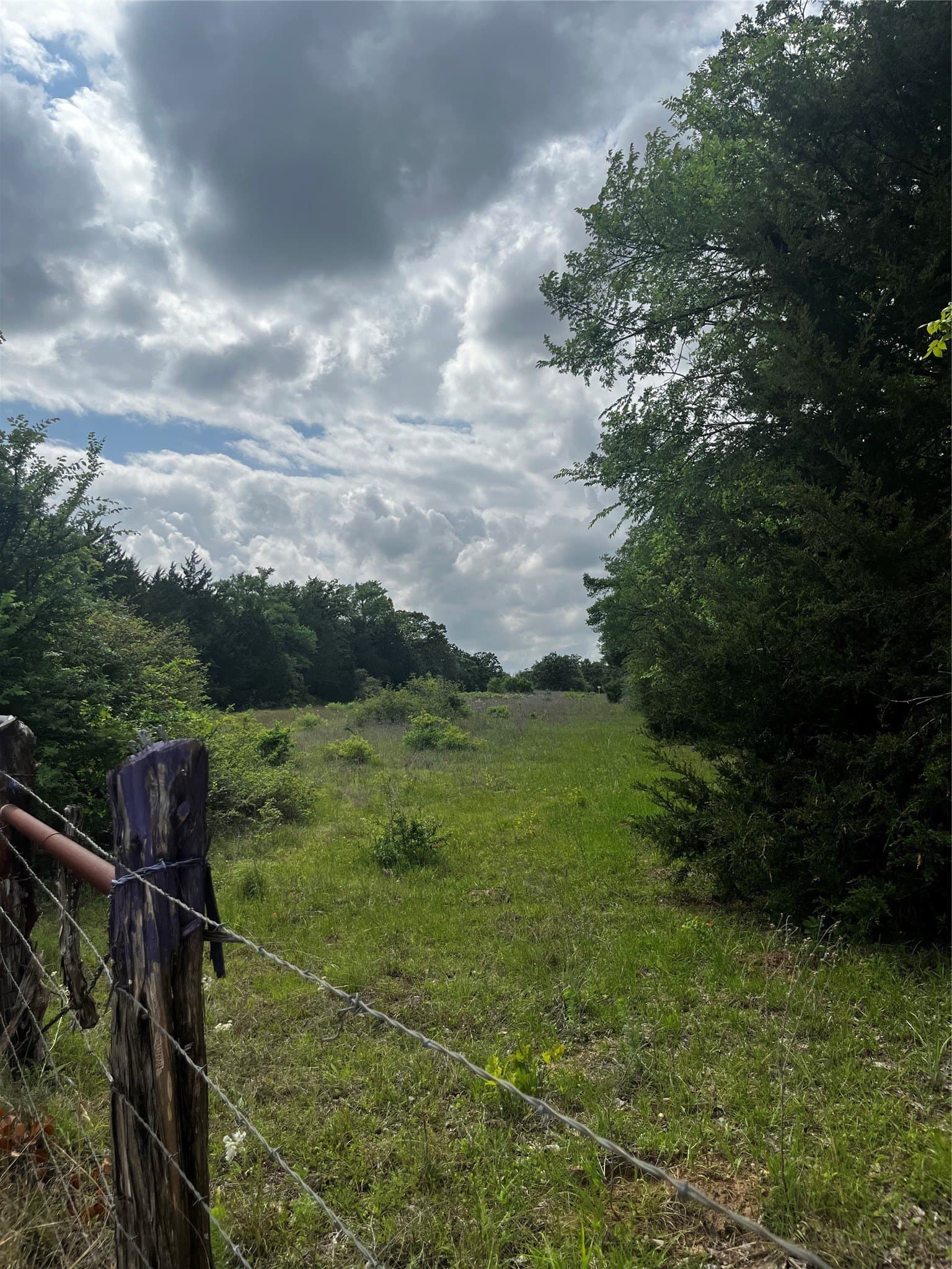 15 acres in Limestone County - photo 10