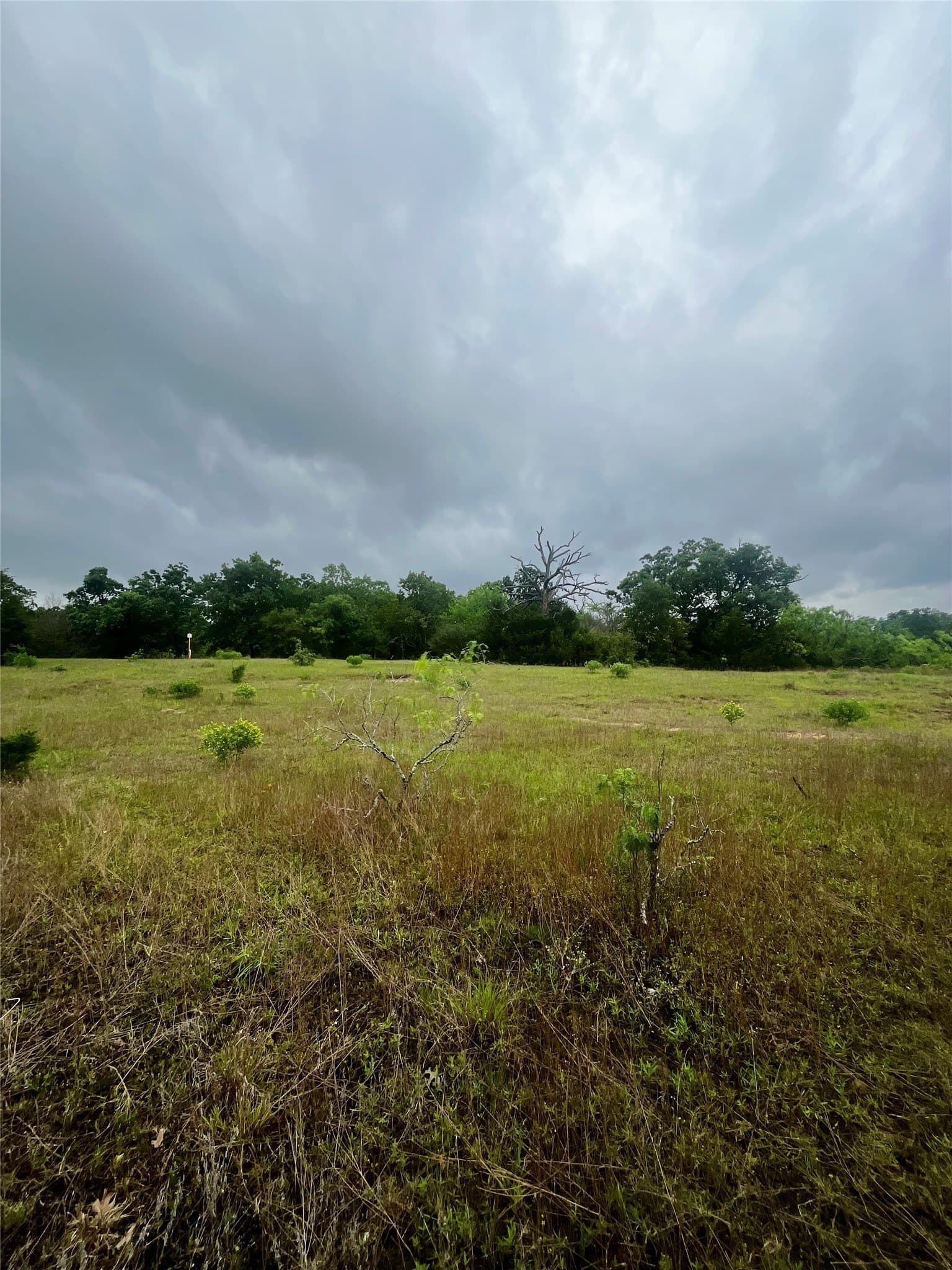 15 acres in Limestone County - photo 18