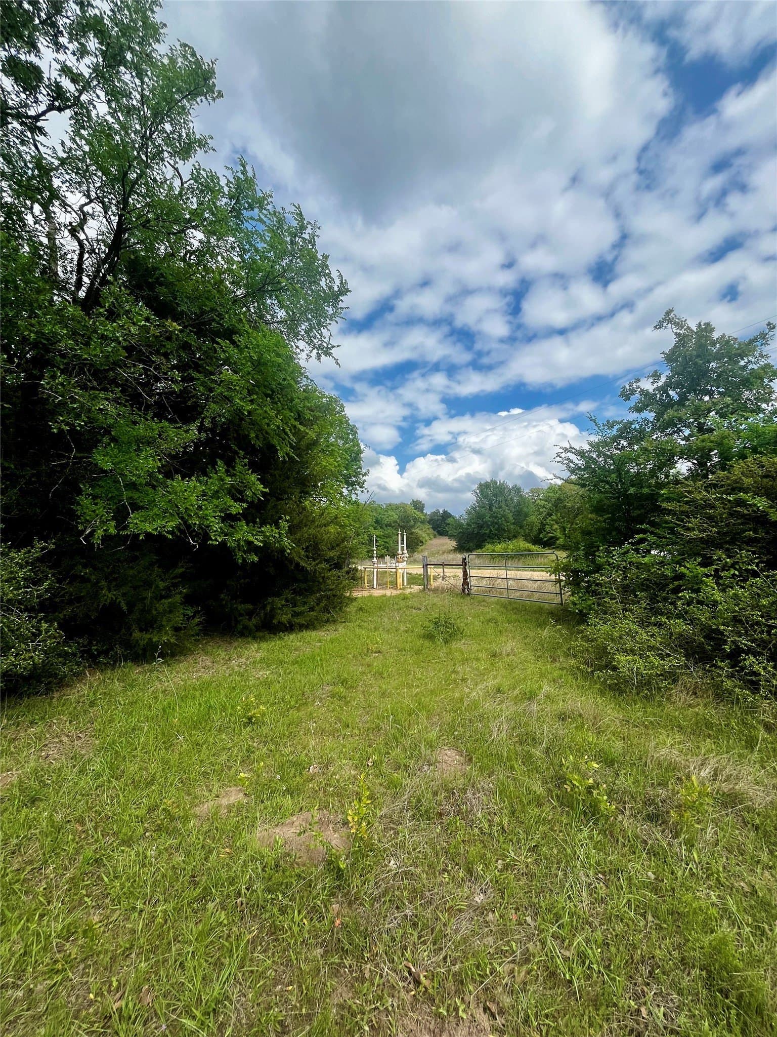 15 acres in Limestone County - photo 7