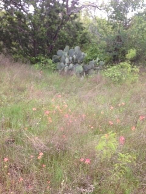 3.32 acres in Eastland County gallery image 2