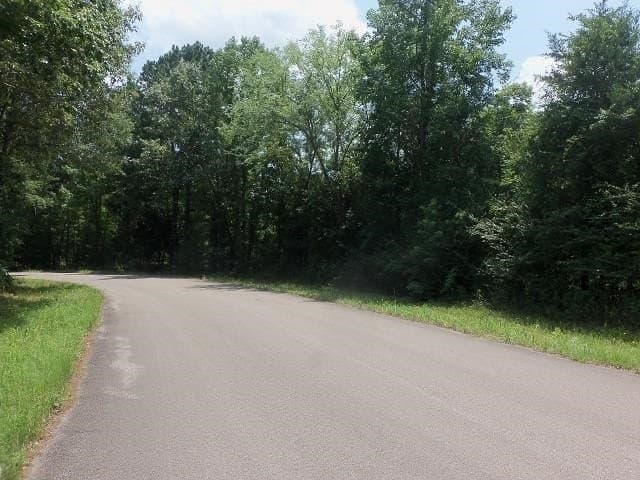 9.41 acres in Texas County - photo 6