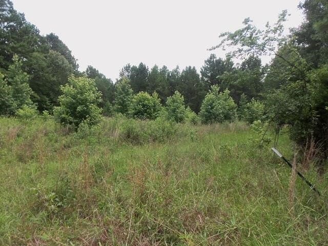 9.41 acres in Texas County gallery image 3