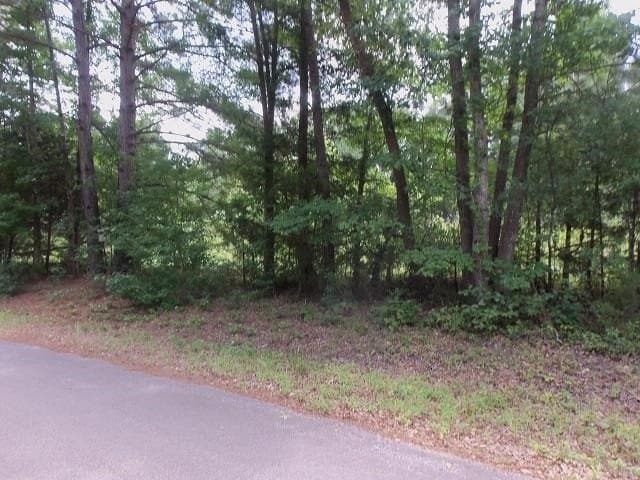 9.41 acres in Texas County gallery image 2
