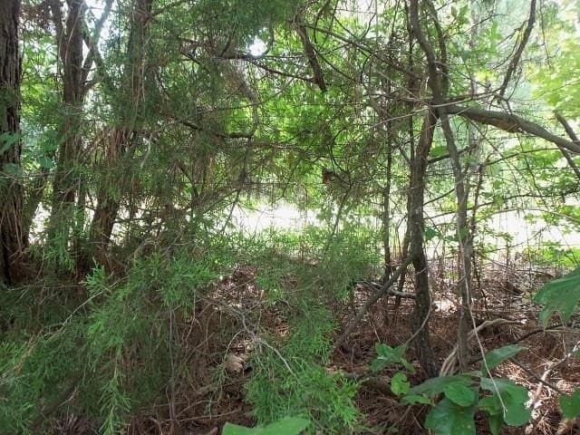9.41 acres in Texas County - photo 8