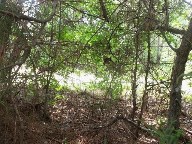 9.41 acres in Texas County - photo 9