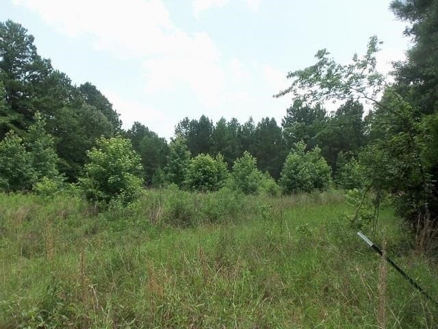 9.41 acres in Texas County gallery image 4