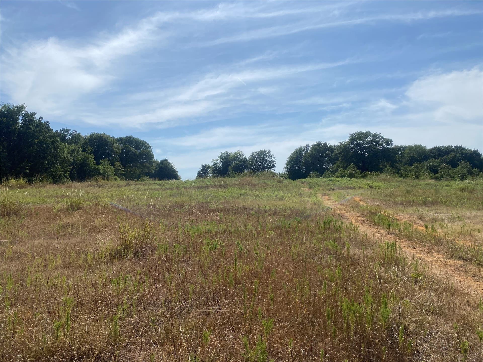10.99 acres in Johnson County - photo 6