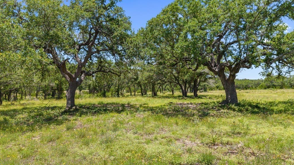 28 acres in Blanco County featured view