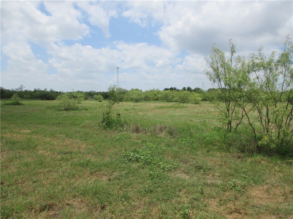 61.41 acres in Falls County - photo 9