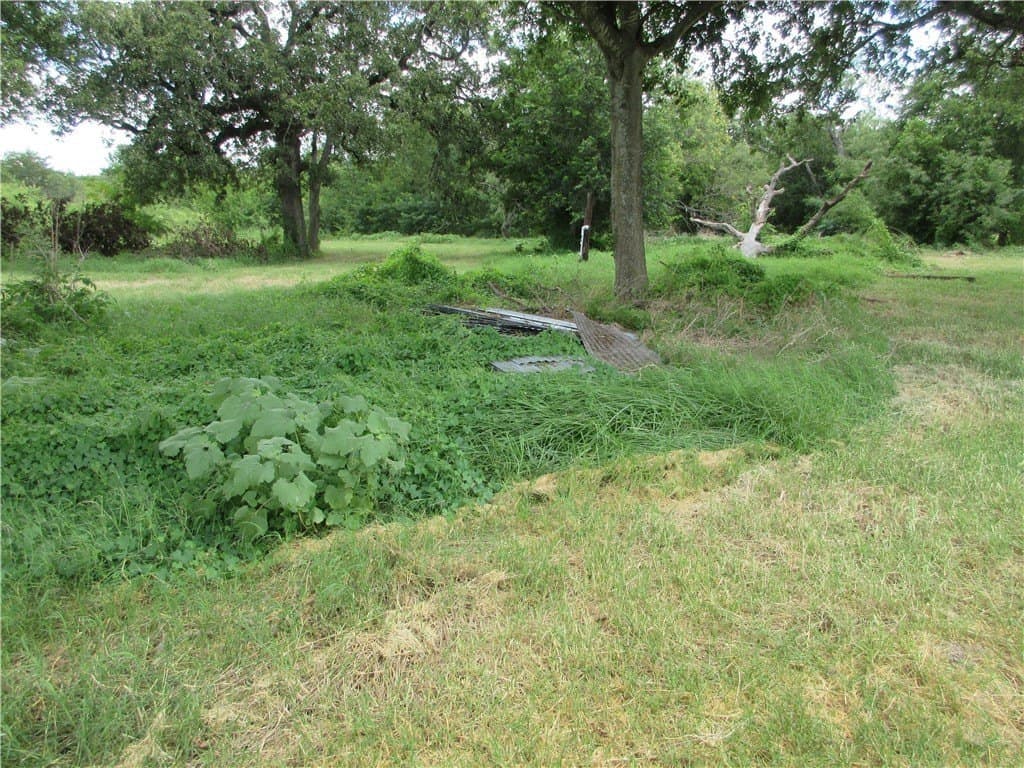 61.41 acres in Falls County - photo 4