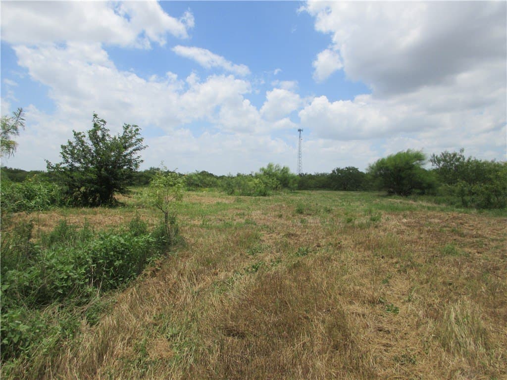 61.41 acres in Falls County - photo 7