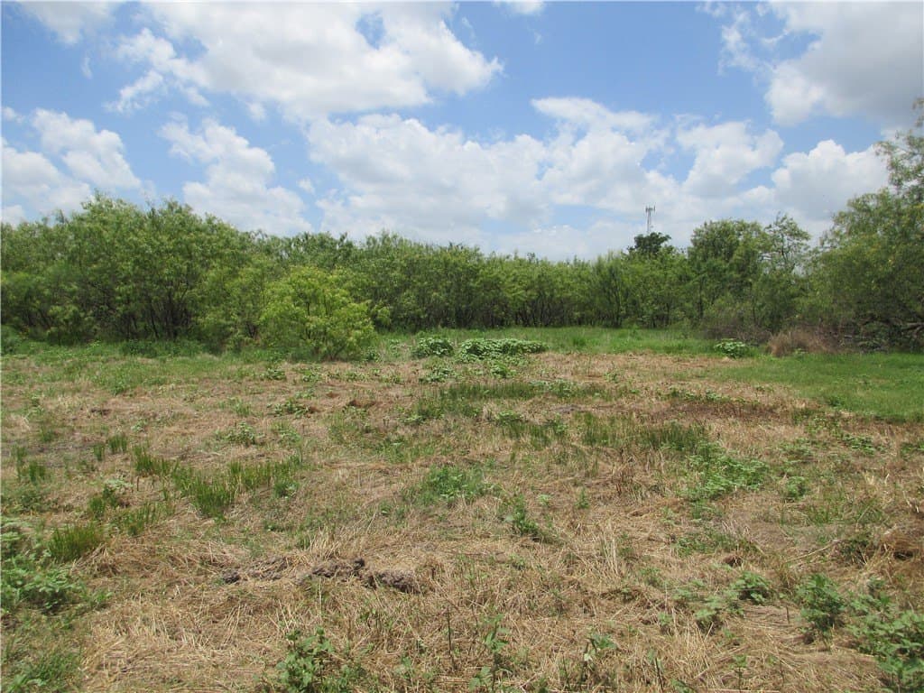 61.41 acres in Falls County - photo 6