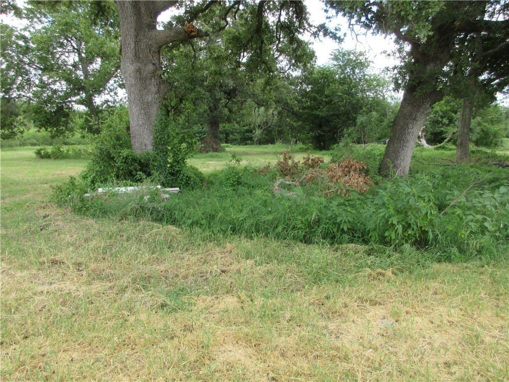 61.41 acres in Falls County - photo 5