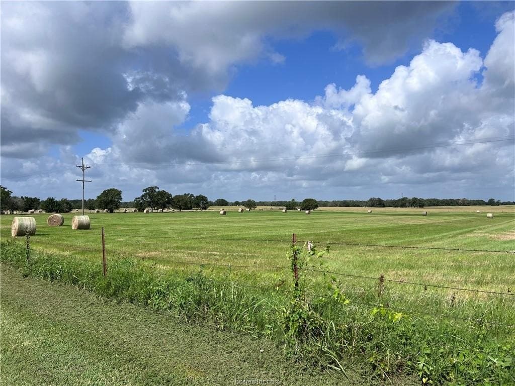 20 acres in Grimes County gallery image 4