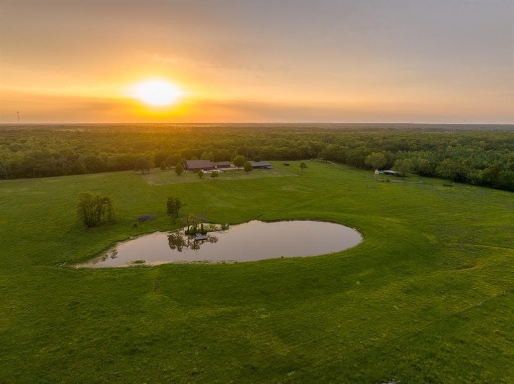 54 acres in Lamar County gallery image 2