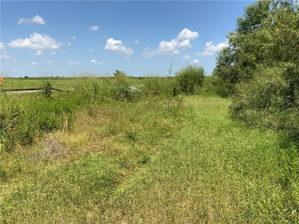 21 acres in San Patricio County gallery image 4