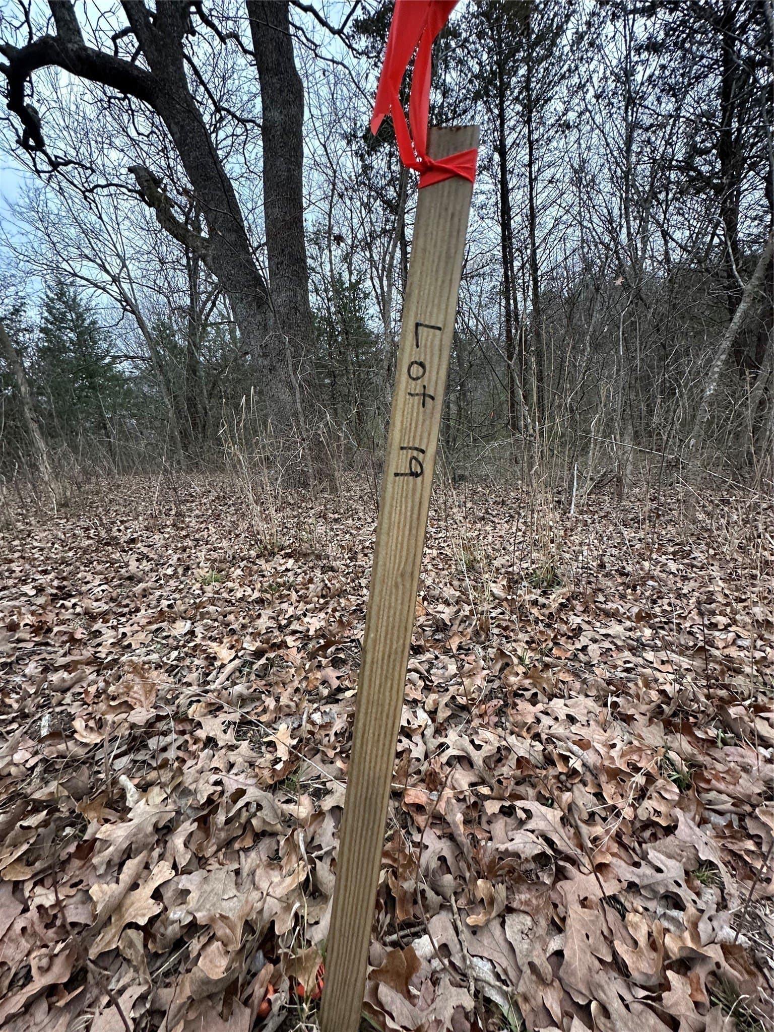 0.17 acres in Grayson County - photo 10