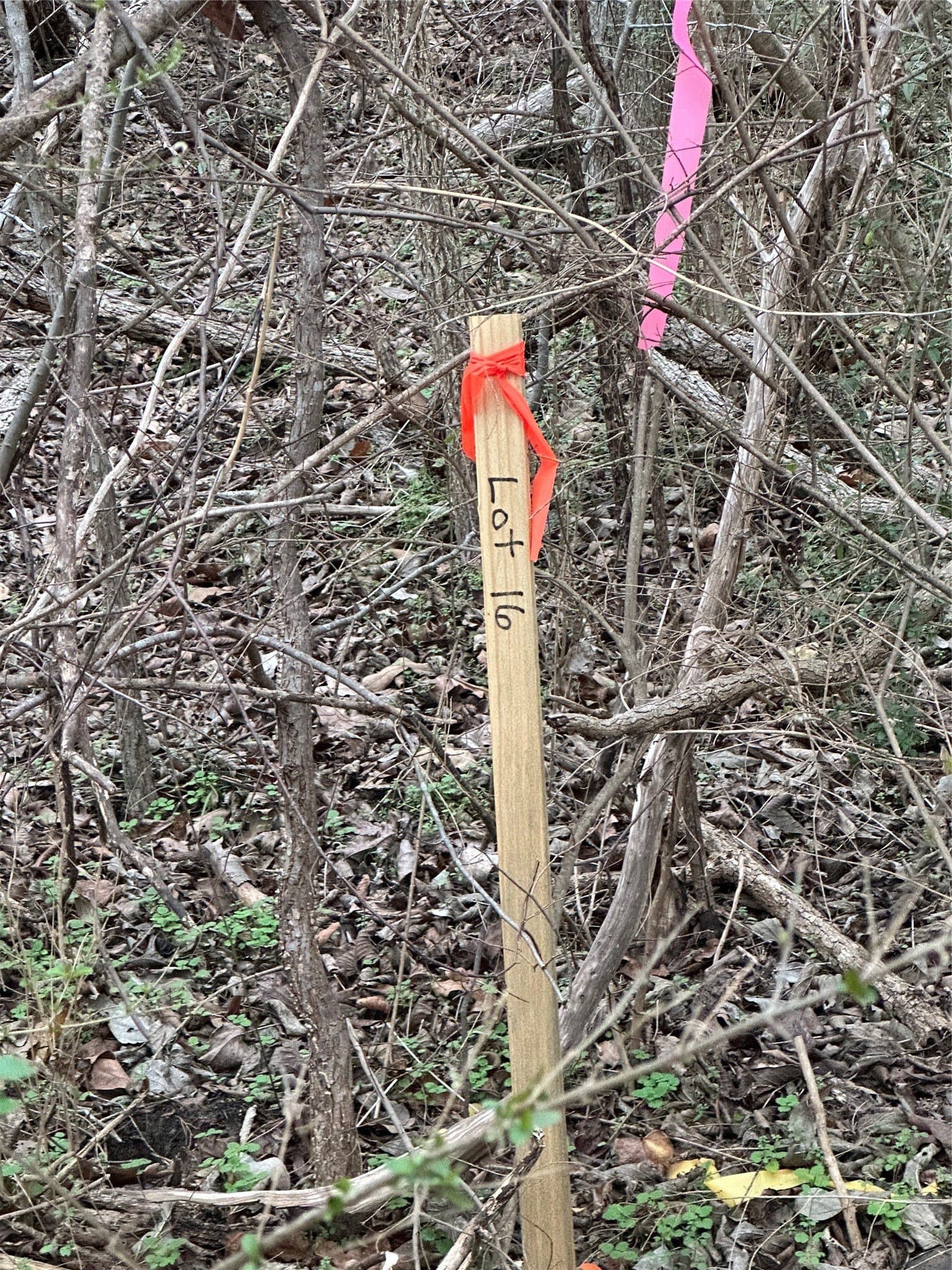 0.17 acres in Grayson County - photo 12