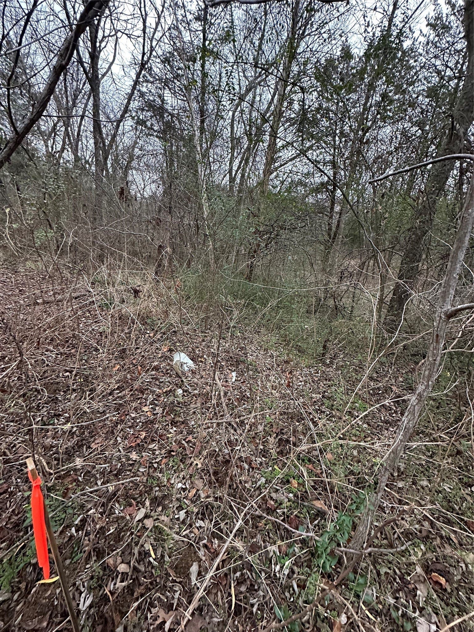 0.17 acres in Grayson County - photo 6