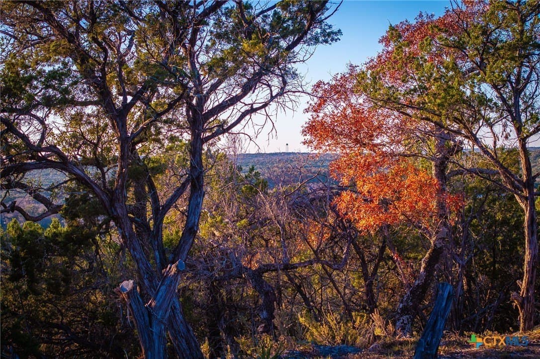 2.53 acres in Comal County - photo 4