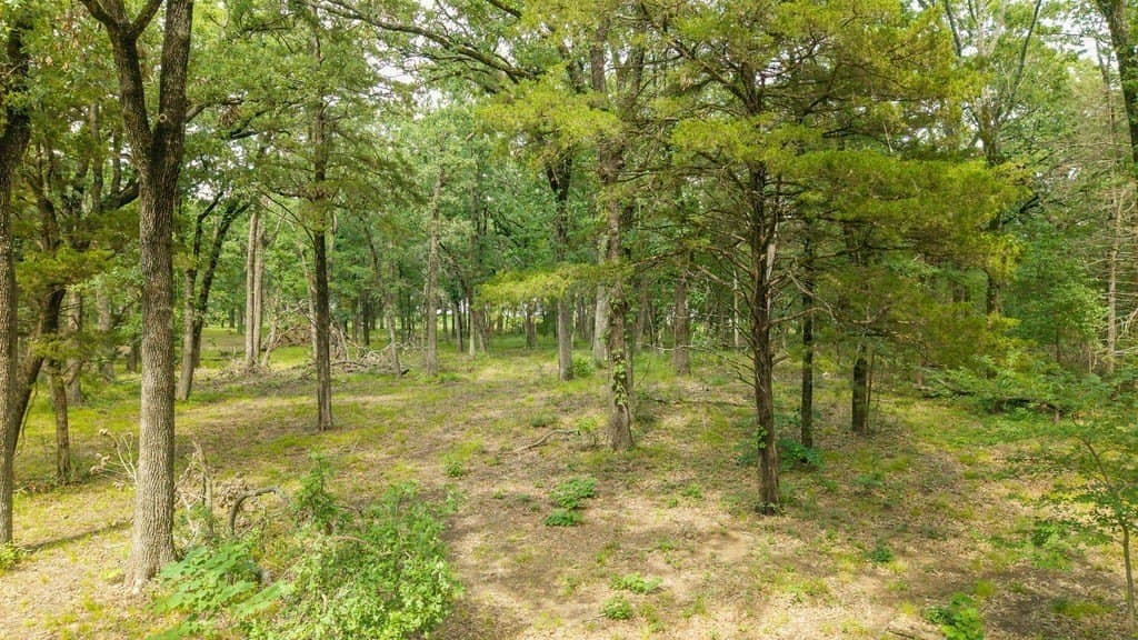 1.24 acres in Fannin County - photo 9