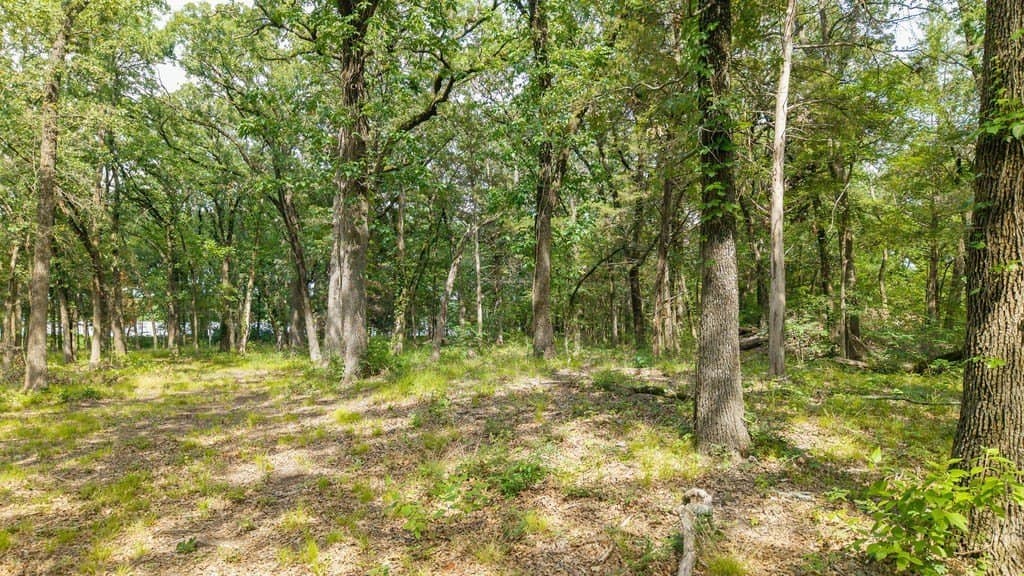 1.24 acres in Fannin County - photo 8