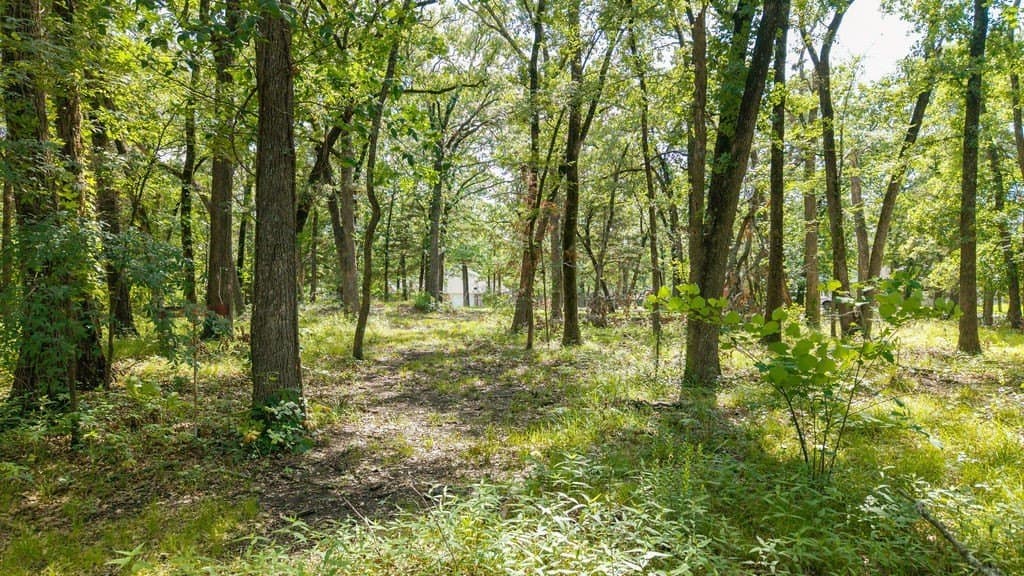 1.24 acres in Fannin County - photo 7