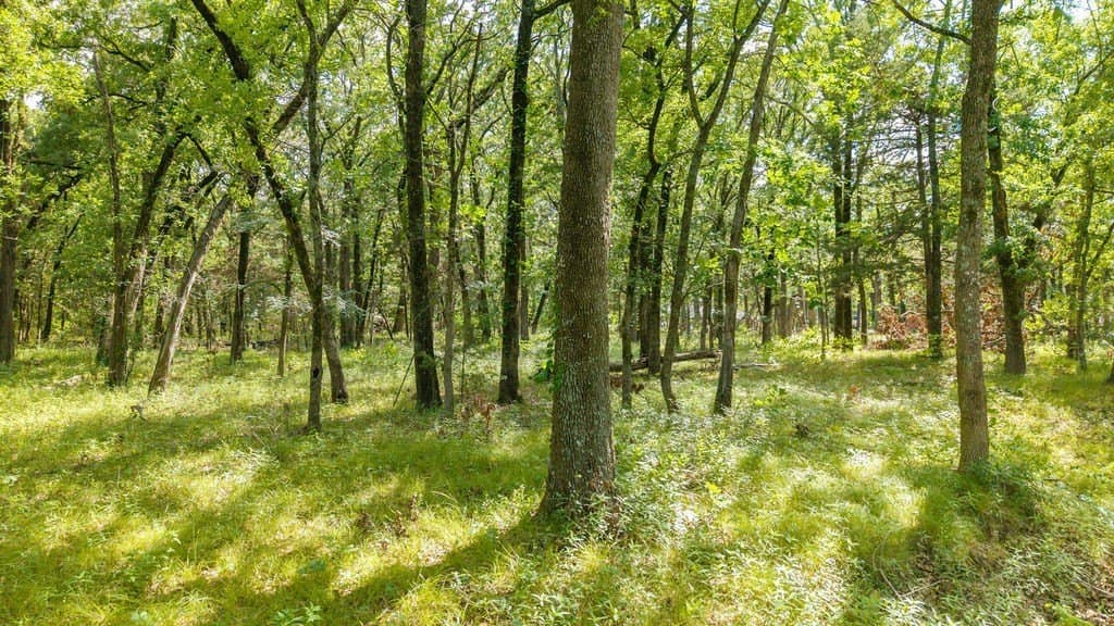 1.24 acres in Fannin County - photo 6