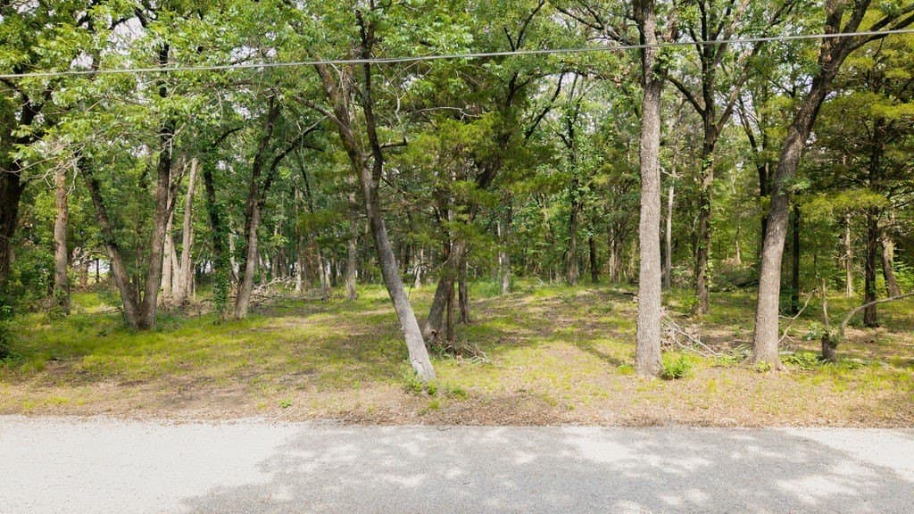 1.24 acres in Fannin County - photo 10