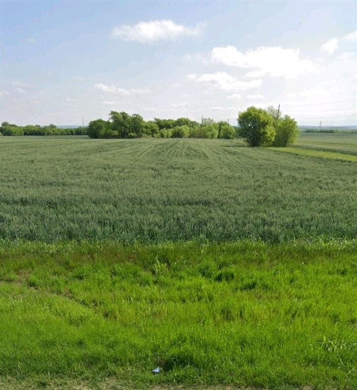 191.3 acres in Johnson County featured view
