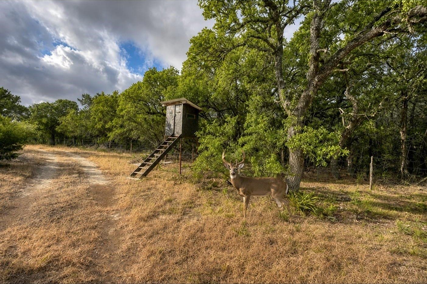 67.84 acres in Burnet County - photo 25